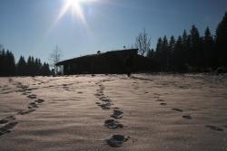 Winter im Wildniscamp
Foto: J. Haslinger