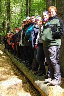 Schön aufgereiht: die neuen Waldführer auf totem Holz
Foto: Veronika Müller