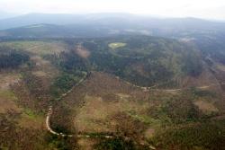Luftbild: Windwurf vom 13. Juli im Falkenstein-Rachel-Gebiet (Foto: R. Weinberger).