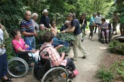 Mit großem Interesse testeten die Führungsteilnehmer mit eigenen Händen die von der Landschaftsarchitektin des Nationalparks Bayerischer Wald, Maria Hußlein (Bildmitte), aufgezeigten Unterscheidungsmerkmale der im Bayerischen Wald heimischen Nadelbaumarten