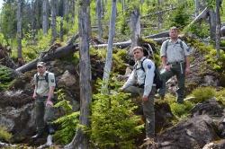 Ranger in der Waldwildnis des Nationalparks Bayerischer Wald