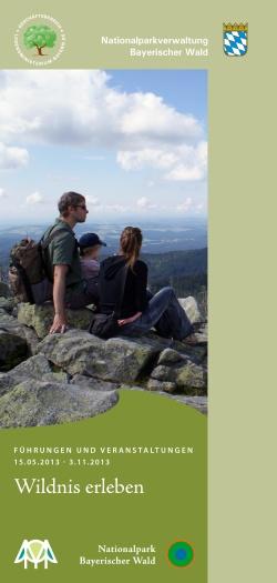 Titelseite Sommerprogramm 2013