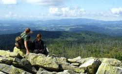 Der Nationalpark Bayerischer Wald ist ein Besuchermagnet und entscheidender Faktor für positive Urlaubs- und Erlebnisqualität in der Region. 96 % der Besucher sind laut Befragung mit dem Nationalpark als Erholungsgebiet zufrieden oder sehr zufrieden.