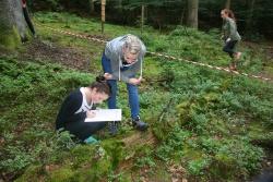 Schüler der 10. Jahrgangsstufe des Gymnasiums Zwiesel bei der Untersuchung von Totholz im Nationalpark.